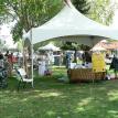 20' x 20' Tentnology Canopy